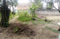 14msur24 à vendre à Mac campagne nguma 100000 dollars à discuter mediacongo