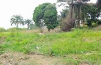 Terrain de 30msur60 à vendre à Mazal 100000 dollars à discuter mediacongo