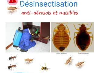 PROPRE SERVICES start up spécialisée en assainissement et hygiène