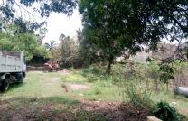 Terrain 20msur20 à vendre à pigeon 180000 dollars à discuter avec possibilité de morceller en deux soit 10msur20 à 90000 dollars à discuter mediacongo