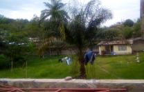 Terrains de 10msur15 à vendre à Mac campagne à 60000 dollars à discuter non loin de kardozo muamba à 5 minutes de kintambo mediacongo