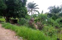 Terrain de 21msur23 à vendre à mbudi 40000 dollars a discuter près du fleuve mediacongo