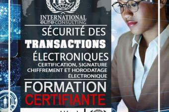 Atelier de formation avec certification  en Culturenumrique en Scuritinformatique ou transactionlectronique et Accompagnementdigitale