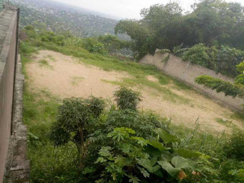 Terrain de 21msur40  vendre  pigeon 150000 dollars  discuter