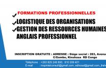 formation en anglais professionnel, Logistique des organisations mediacongo
