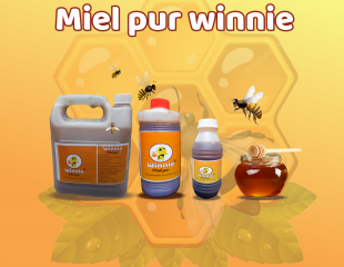 Miel pur à vendre