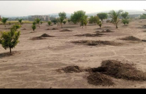 les terrains à vendre dans la commune de N’selé non loin de daïpn  Distance 8 minutes à pieds de Boulevard Dimensions :20/20 mettre à 7500$  les terrain sont déjà cadastré mediacongo