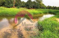 Mise en vente d'une grande ferme Cadastrée et clôturée avec portail de 5 hectares. Située à N'sele, Kimpoko près du boulevard Lumumba mediacongo