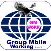 Group Mbile Working Sarlu@16PIRX5