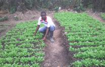 Agronome mediacongo