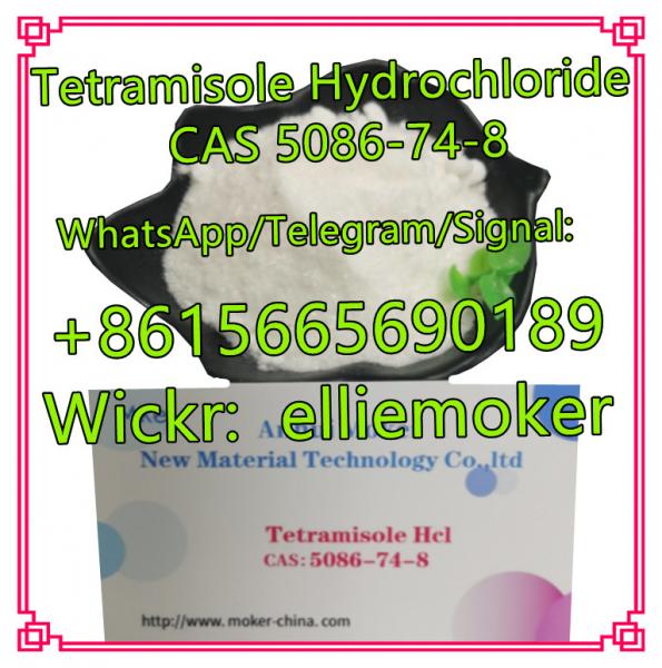 Buy Cas 5086748 Tetramisole Hydrochloride  