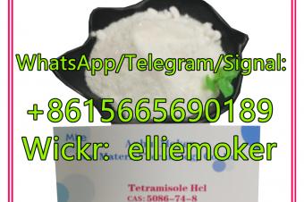 Buy Cas 5086748 Tetramisole Hydrochloride  