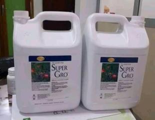 La goute miracle SUPER GRO