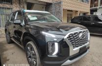 HYUNDAI PALISSADE 2020 mediacongo