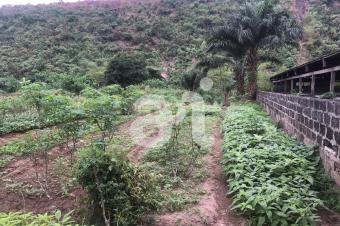 VENTE FERME AGRICOLE DE 6600m DOTE DUNE RIVIRE SUR KINSHASAKIMPOKO