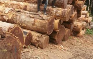 Machine de parpaing