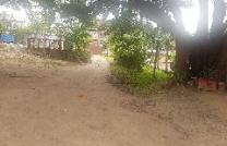 Location appartement mimosa kinsuka mediacongo