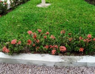 Service de Jardinage et Jardinerie : entretien et amenagement des espaces verts. Voir la description
