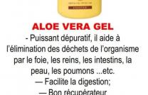 Forever living products mediacongo