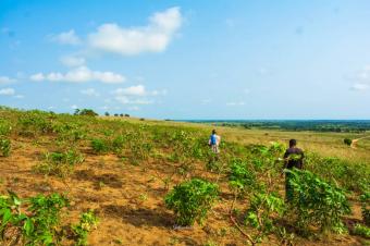 VENTE DES TERRAINS  ALLANT DE 100  PLUS DE 600m DE LOCAN ATLANTIQUE SUR MOANDA DANS LE KONGO CENTRAL