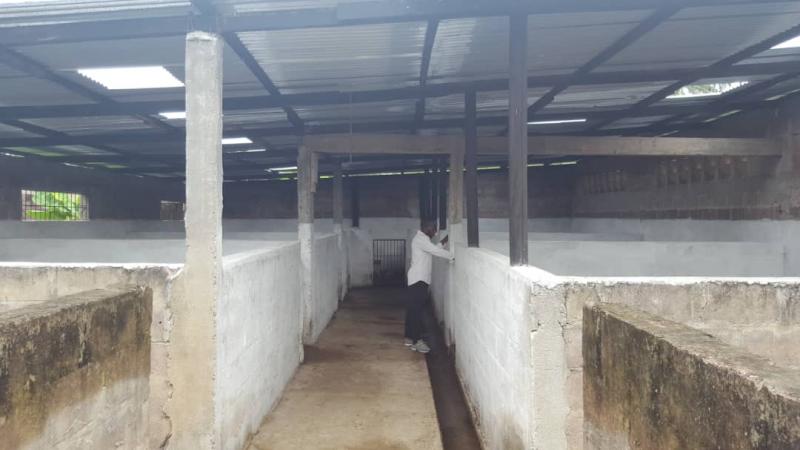 Concession  Mbudi avec ferme 1 hectare 350.000