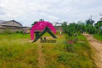 Magnifique morcellement de 12m sur 28m, dans un bel emplacement très accessible, habitable sur un sol plat. Situé à Mont-Ngafula, quartier Mitendi, proximité du marché  immobilier_vente_location