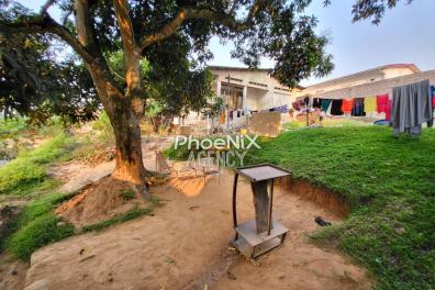 immobilier_vente_location Phoenix Agency  
