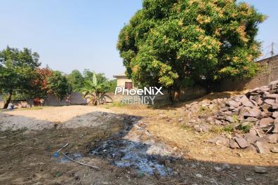 immobilier_vente_location Phoenix Agency  
