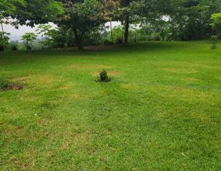 Belle opportunité d'achat d'un magnifique terrain de 16m sur 30m, dans un bel emplacement très accessible. Situé à Ngaliema, Binza-Okapi, proximité du palais des marbres à bas prix