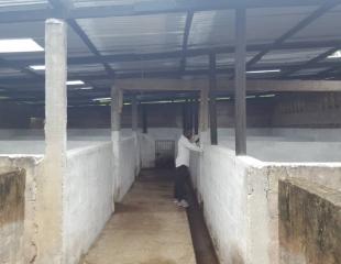 Ferme à Mbudi, 1 hectare 350.000$