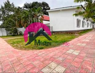 Belle villa reposante, dotée d'une grande maison basse qui distribue 4 vastes CH, piscine pétillante, jardin bien entretenu, cour spacieuse. À Gombe, rive gauche
