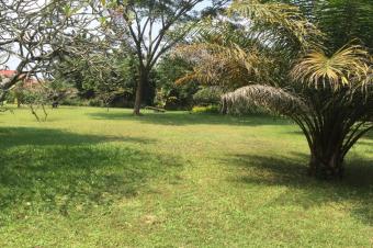 Vente Magnifique parcelle dun hectare 
