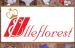 mediacongo