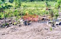 MISE EN VENTE D'UNE GRANDE CONCESSION DE 42 HECTARES. #PRIX: 1.500$ PAR HECTARE NEGOCIABLE LEGEREMENT mediacongo