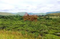 MISE EN VENTE D'UNE GRANDE CONCESSION DE 25 HECTARES. 9.000$ PAR HECTARE mediacongo