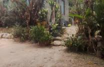 Pompage/kimbwala : vente parcelle De 18m*10m, avec une maison construite en dure (7m*5m), prix 11 000 USD négociable mediacongo