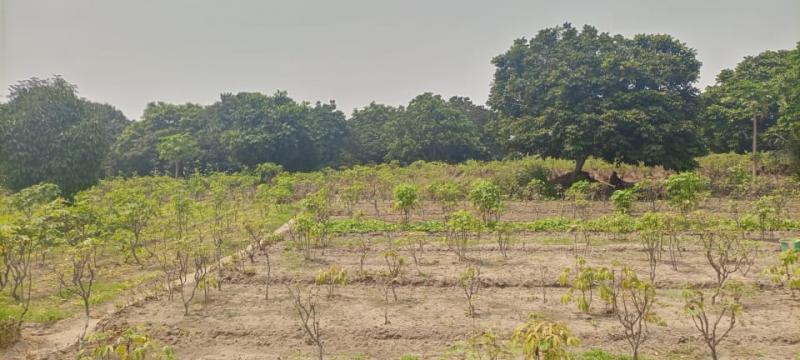 MISE EN VENTE DUNE GRANDE PROPRIT PRIVE AU BORD DU FLEUVE 