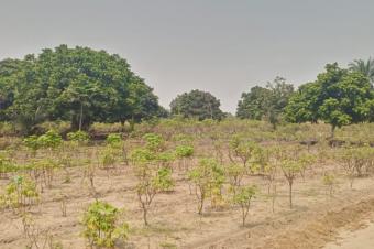 MISE EN VENTE DUNE GRANDE PROPRIT PRIVE AU BORD DU FLEUVE 