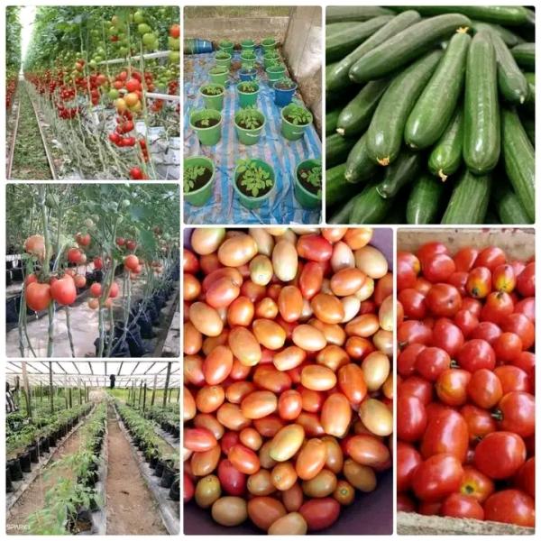 Agroalimentaire