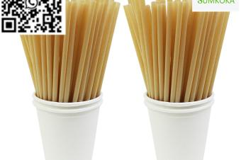 glass straws straws bamboo paper straw bagasse drinking straw sugarcane straw