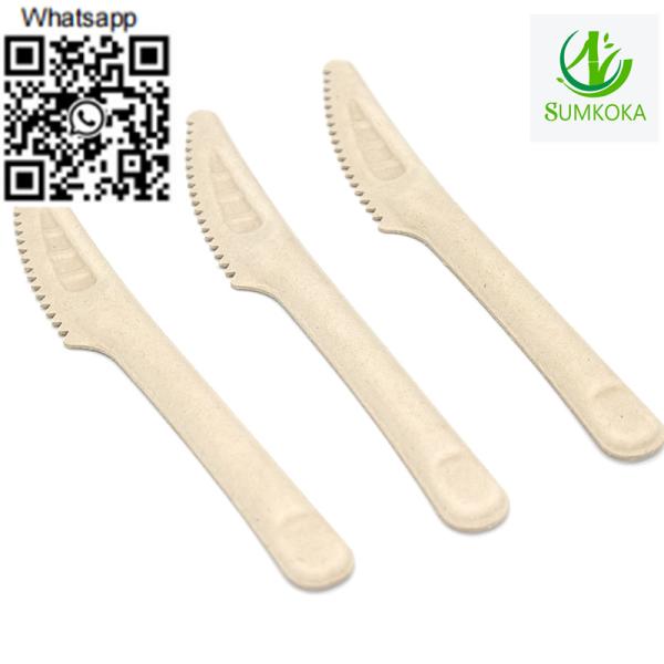 cutlery set biodegradable cutlery bagass cutlery disposable cutlery