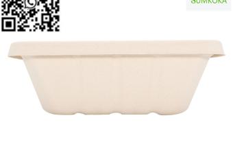 display trays fruit tray sugarcane tray tray plate pulp tray packaging bagasse packaging sushi tray meat tray