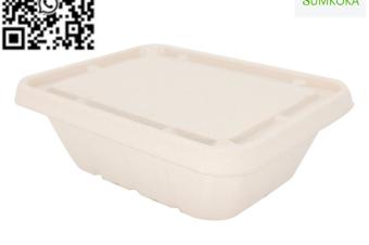 display trays fruit tray sugarcane tray tray plate pulp tray packaging bagasse packaging sushi tray meat tray