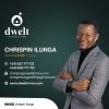 Dwelt immobilier 