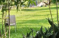 Terrain de 16msur23 à vendre à ma campagne 1 250000 dollars à discuter mediacongo