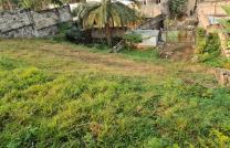 Terrain de 30msur40 à vendre à ma campagne 1 350000 dollars mediacongo