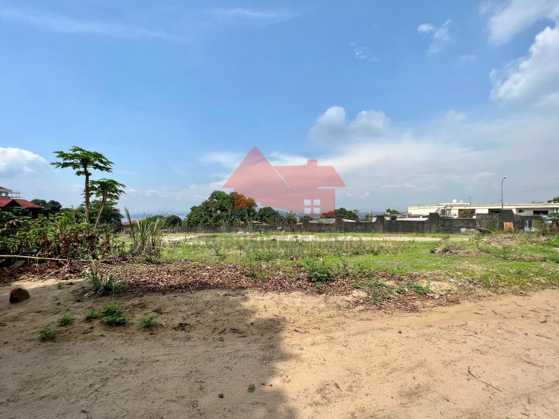 VENTE DUNE MAGNIFIQUE CONCESSION PLANE DE 8.500M  OFFRANT UNE VUE SUR LE FLEUVE CONGO. SITUE  NGALIEMA MACAMPAGNE DANS UN EMPLACEMENT ATTRAYANT. IDAL POUR TOUS PROJETS IMMOB