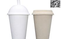 8 oz 12 oz Cup disposable cup bagasse cup coffee cup mediacongo