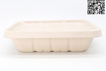 Commerce de gros Chine 500ML 700ML 850ML 1000ML Bagasse compostable Bento Box avec couvercle