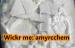 mediacongo